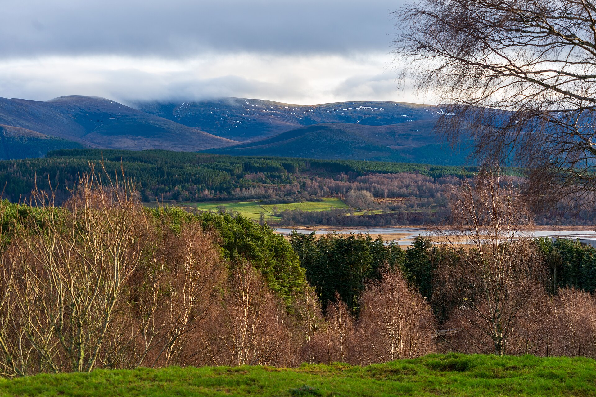 Snow-covered forest ridge in the Cairngorms
